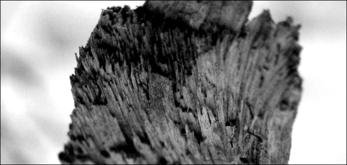 Splinter -TEJ3; copyright 2011